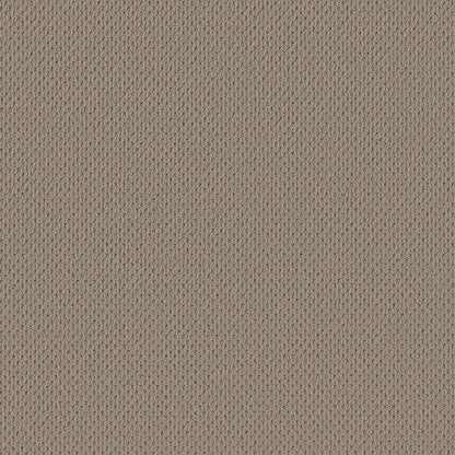 BERBER NYLON LOOP