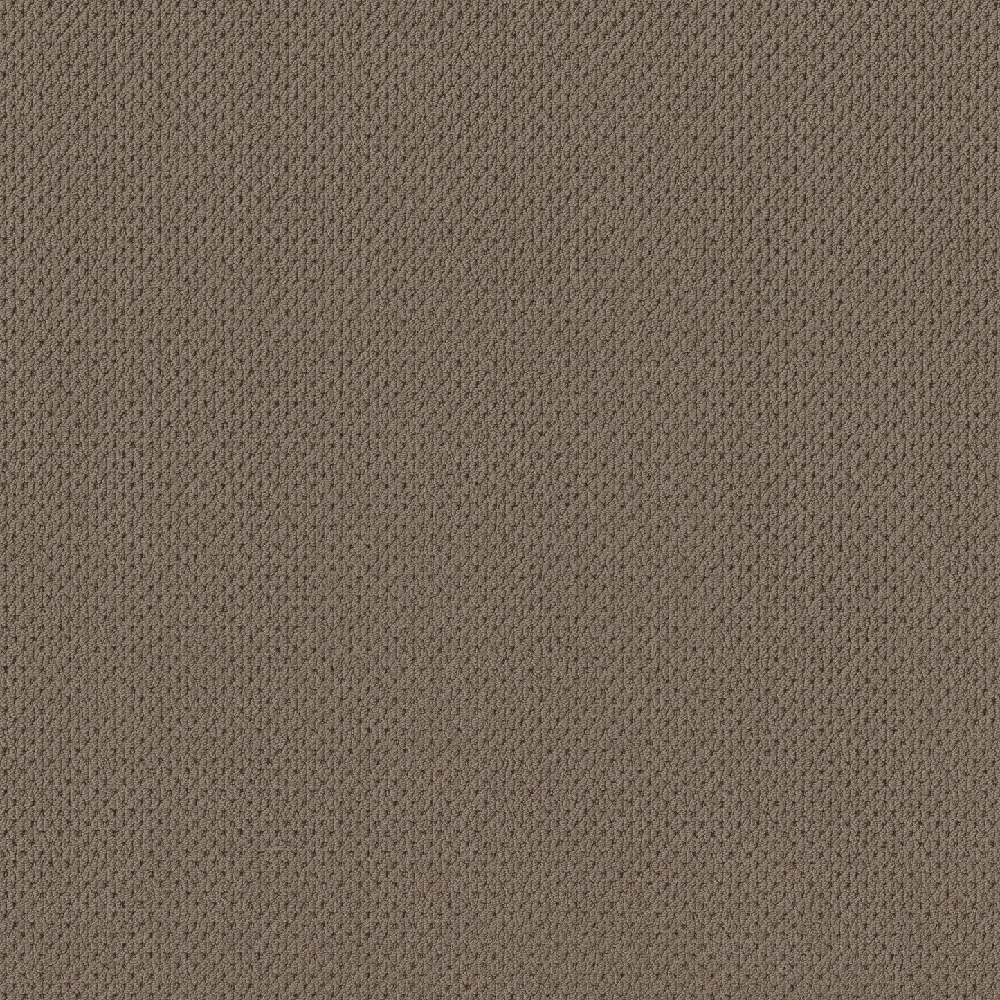 BERBER NYLON LOOP