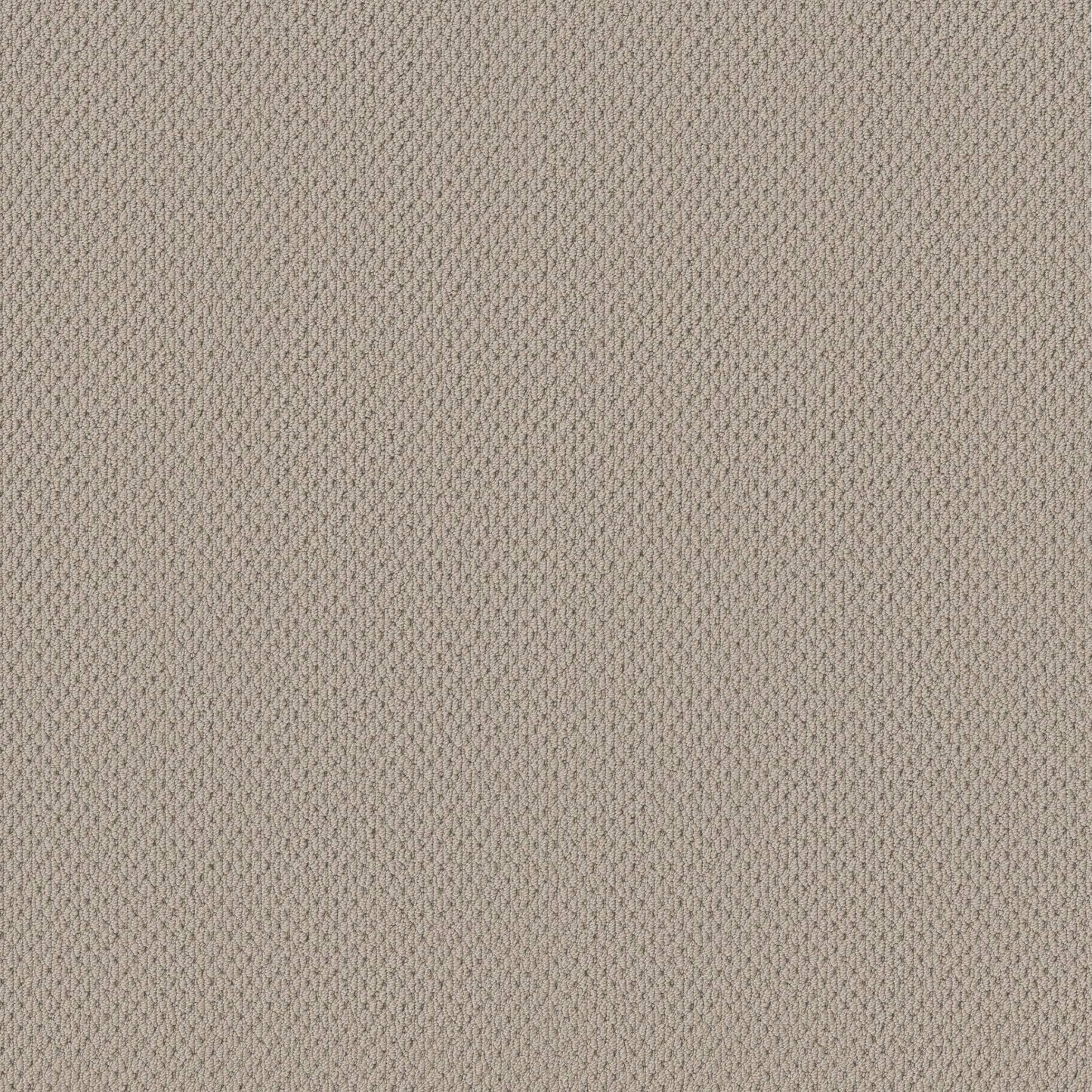 BERBER NYLON LOOP