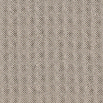 BERBER NYLON LOOP