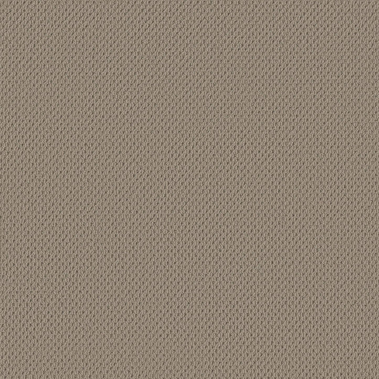 BERBER NYLON LOOP