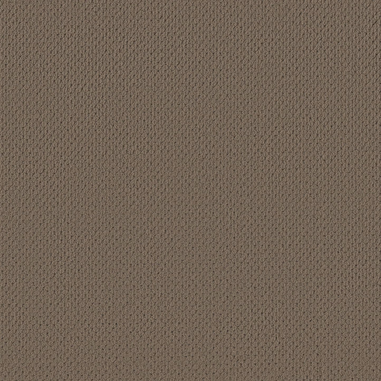 BERBER NYLON LOOP