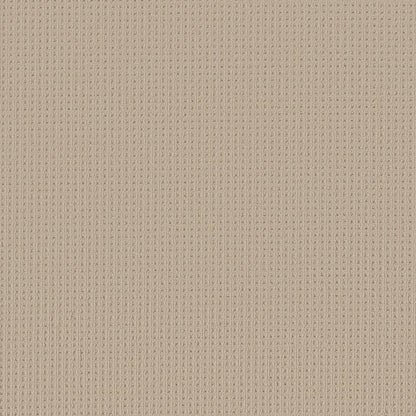 BERBER NYLON LOOP