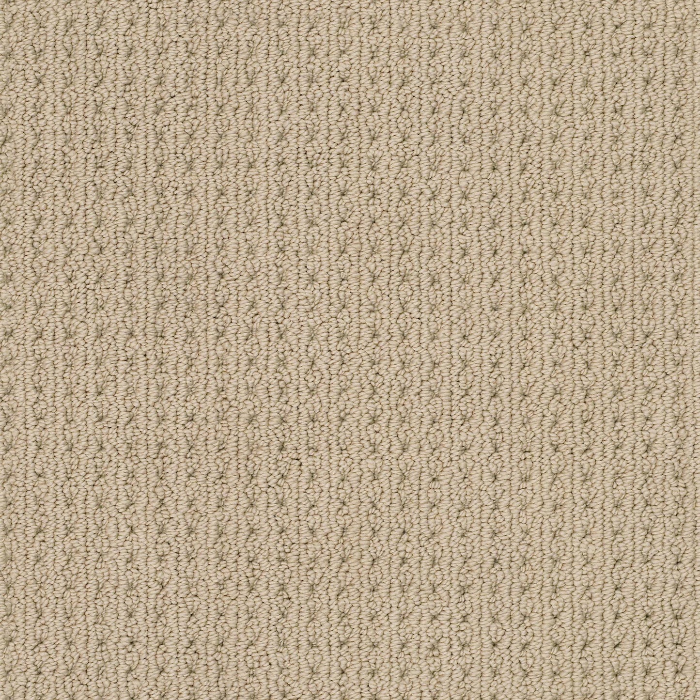 BERBER NYLON LOOP