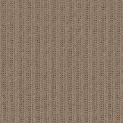 BERBER NYLON LOOP