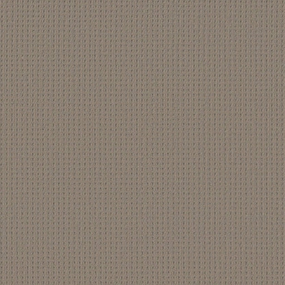 BERBER NYLON LOOP