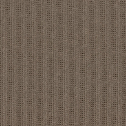 BERBER NYLON LOOP