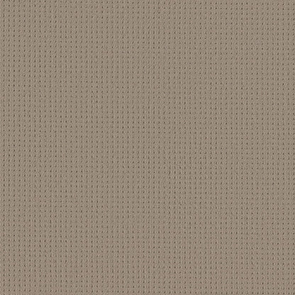 BERBER NYLON LOOP