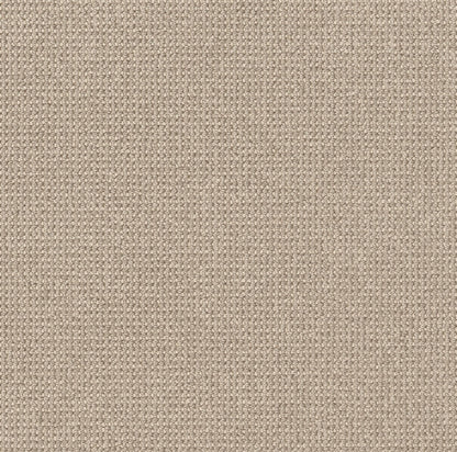 BERBER NYLON LOOP