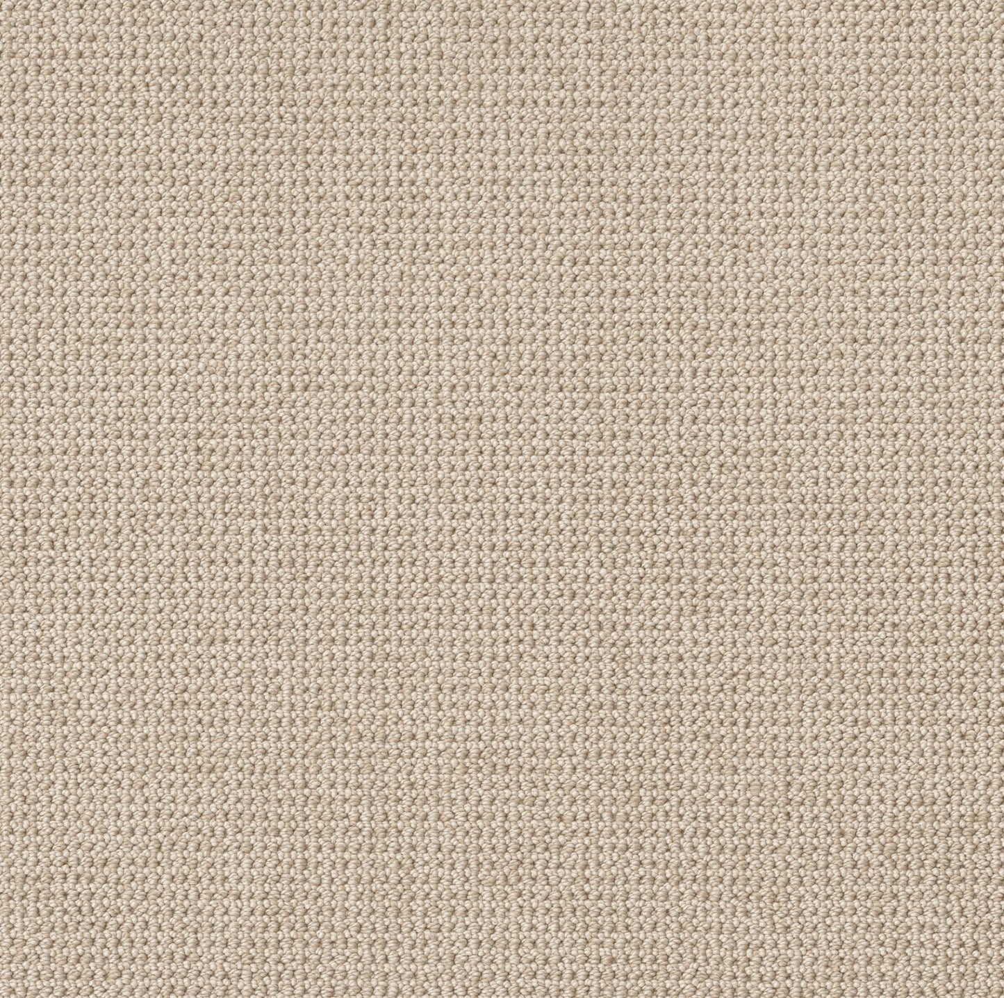 BERBER NYLON LOOP