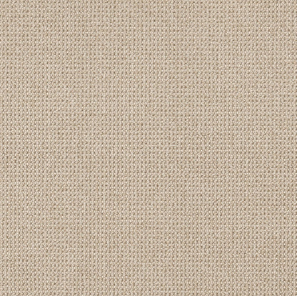 BERBER NYLON LOOP