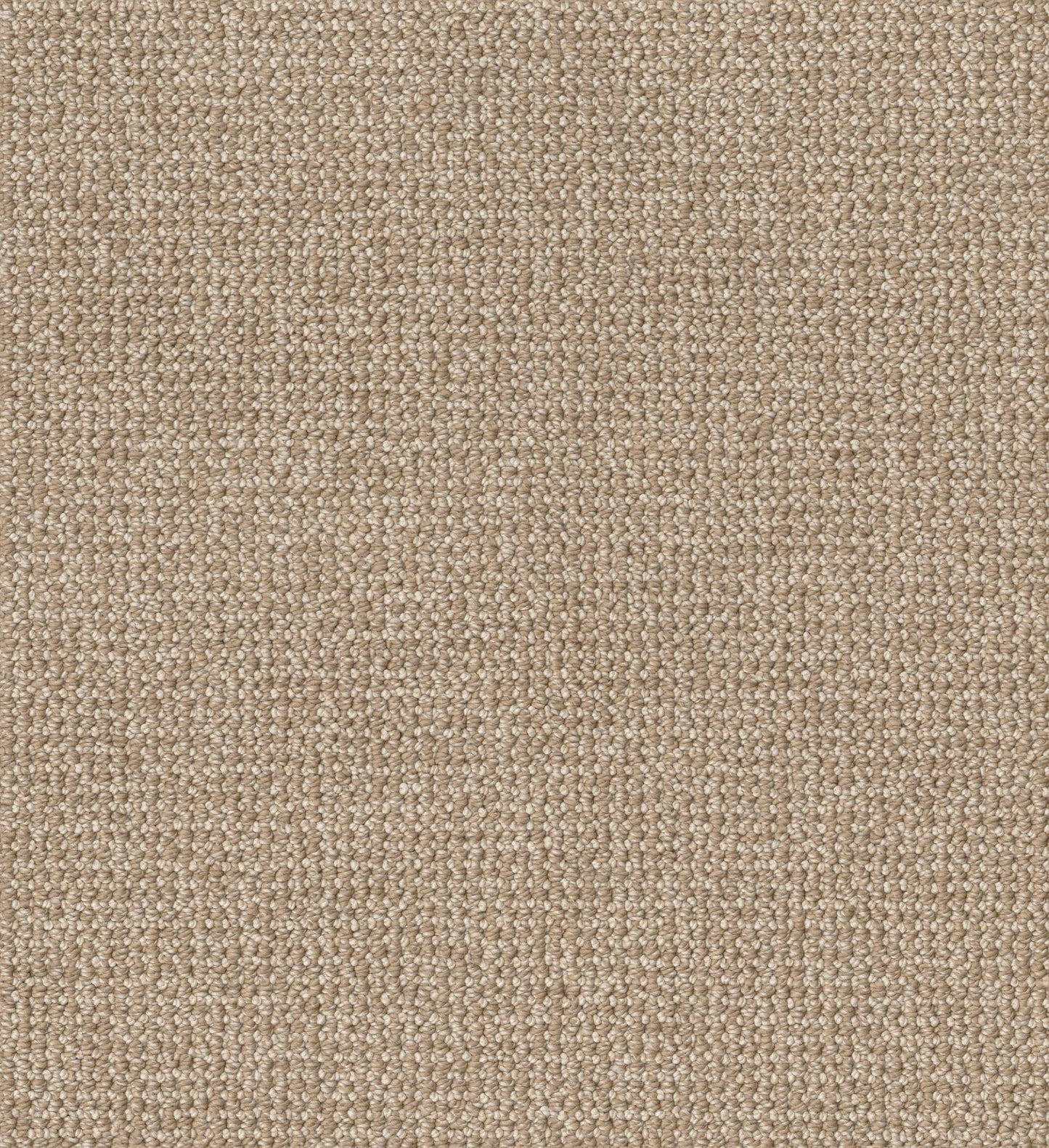 BERBER NYLON LOOP