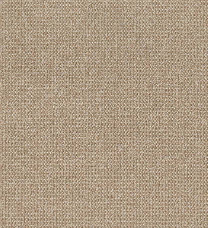 BERBER NYLON LOOP