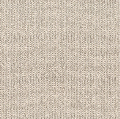 BERBER NYLON LOOP