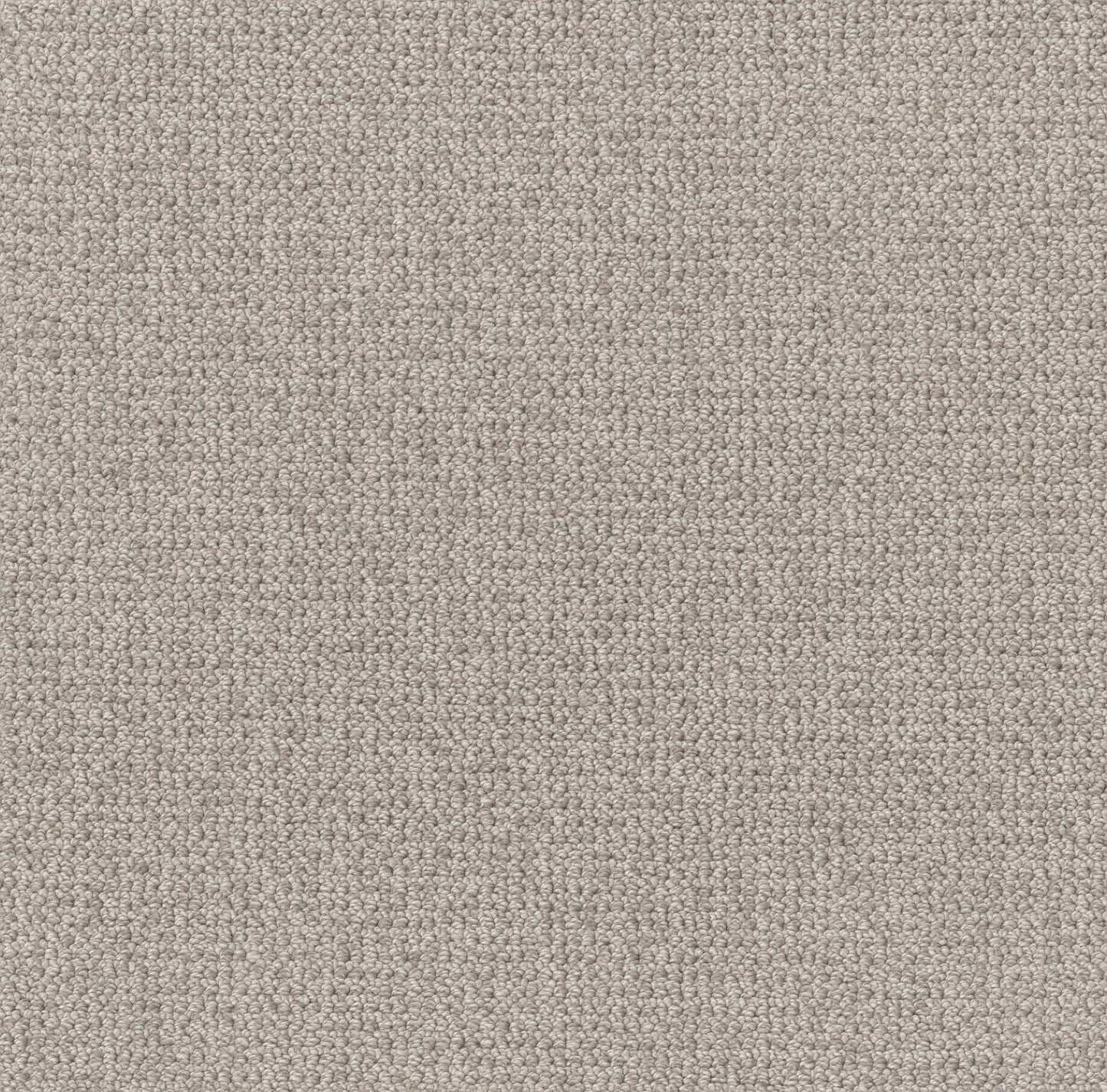 BERBER NYLON LOOP