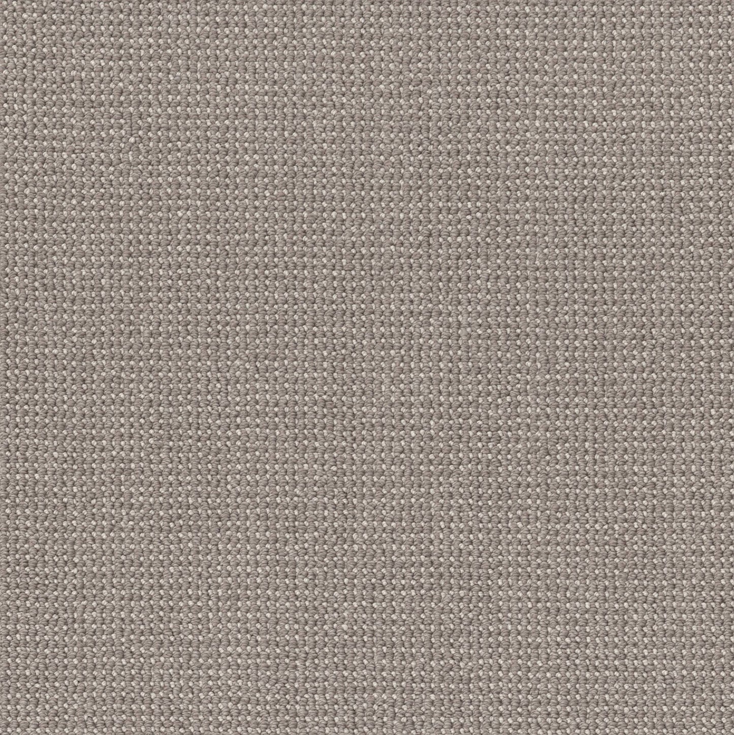 BERBER NYLON LOOP