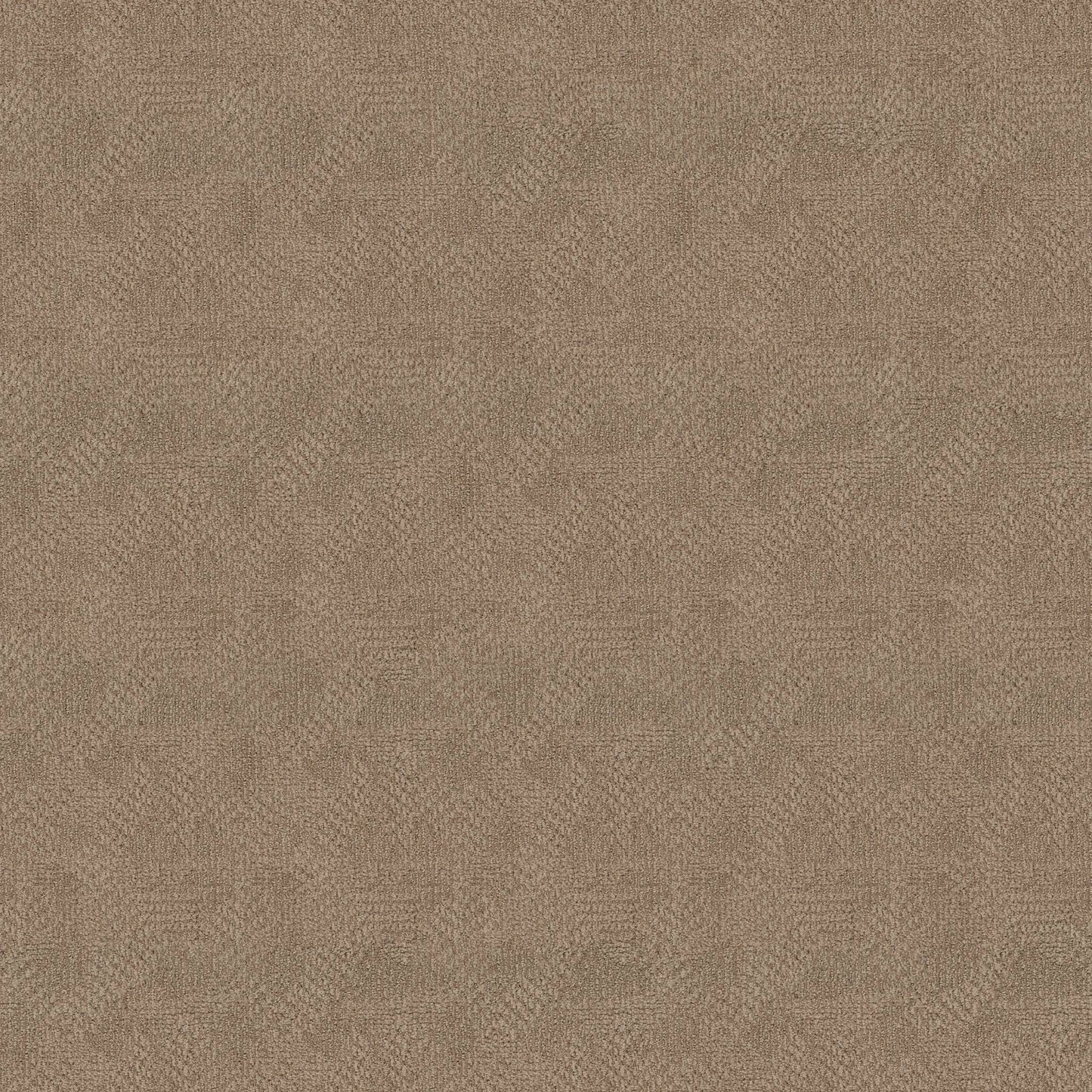 CUT UNCUT  R