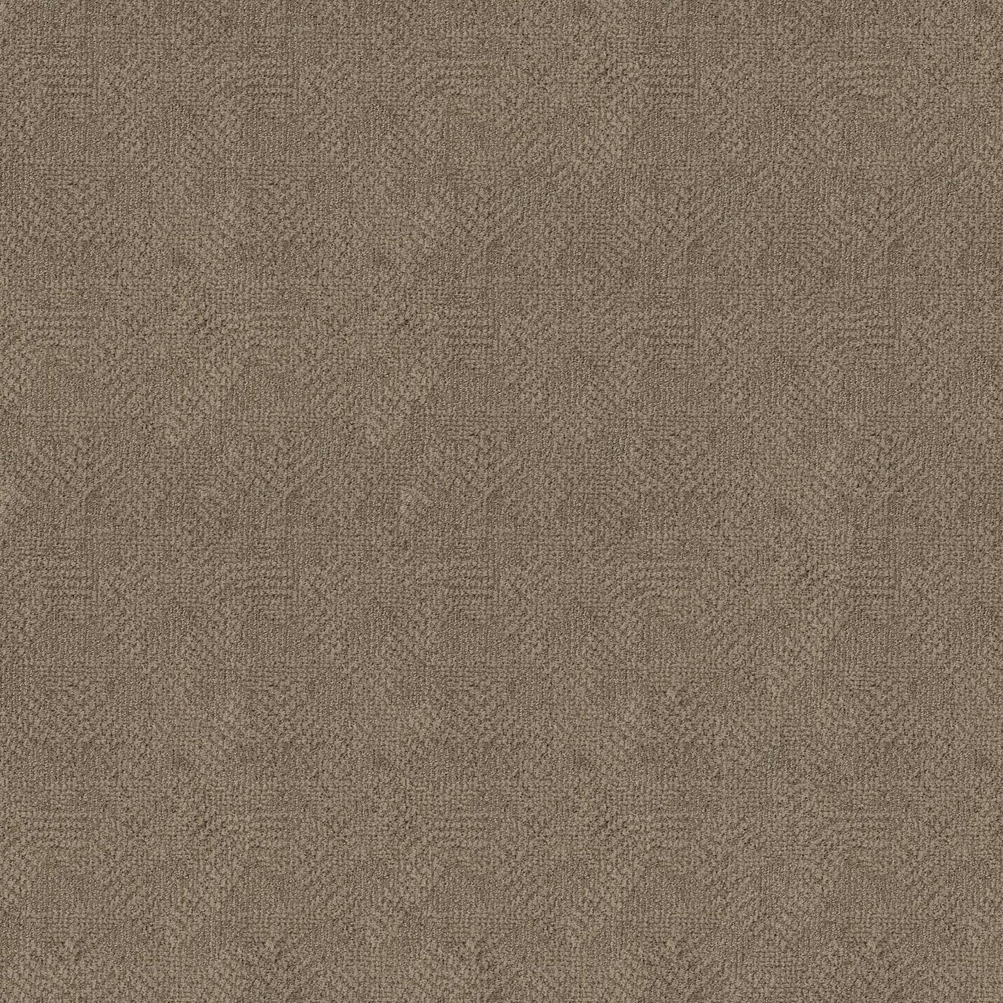 CUT UNCUT  R
