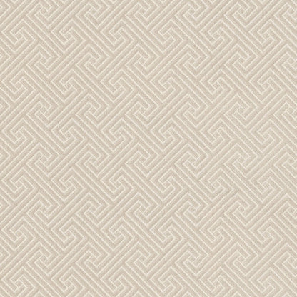 BERBER NYLON LOOP