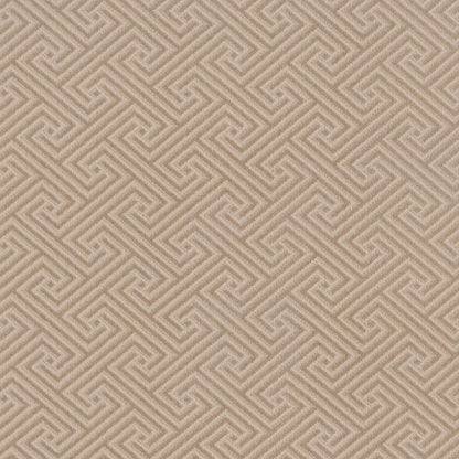 BERBER NYLON LOOP