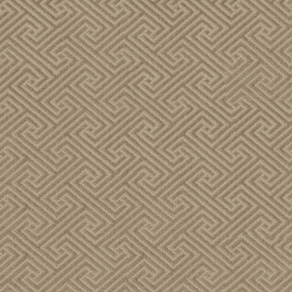 BERBER NYLON LOOP