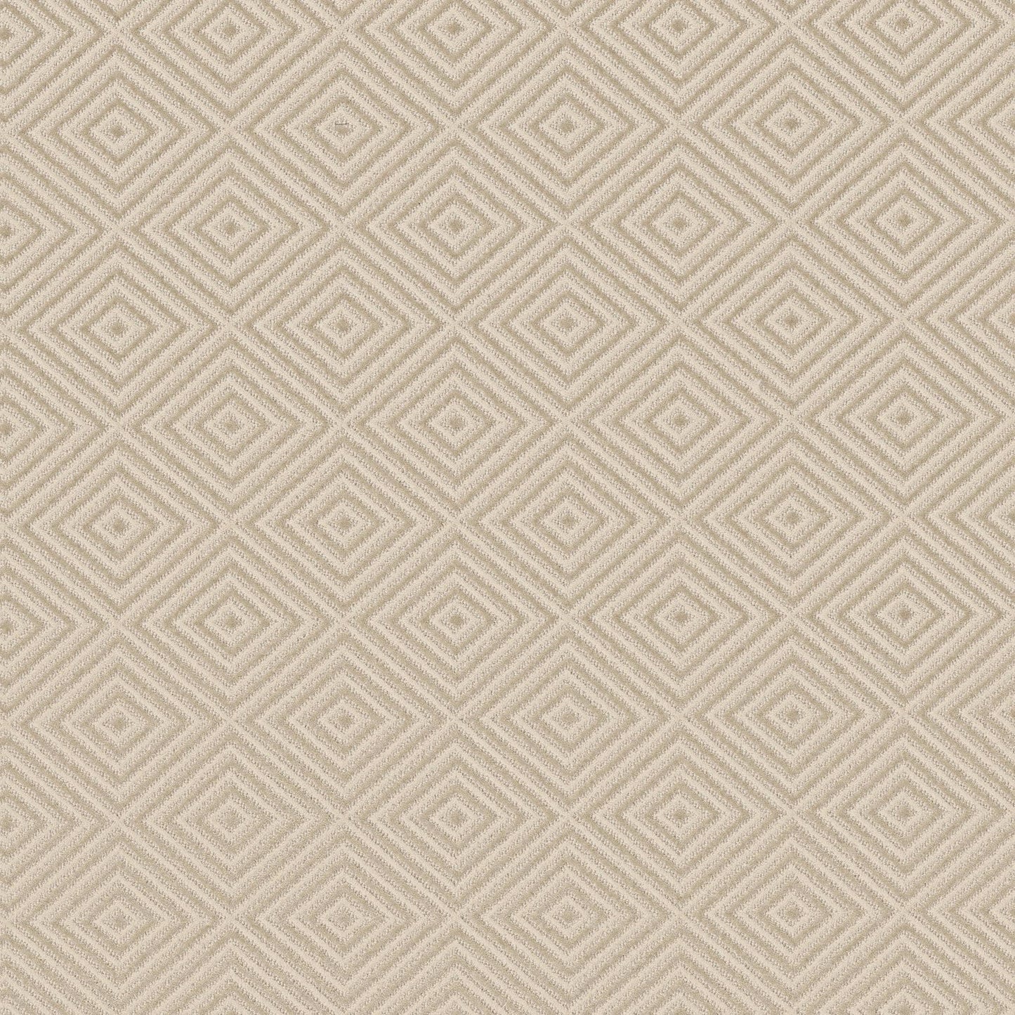 BERBER NYLON LOOP