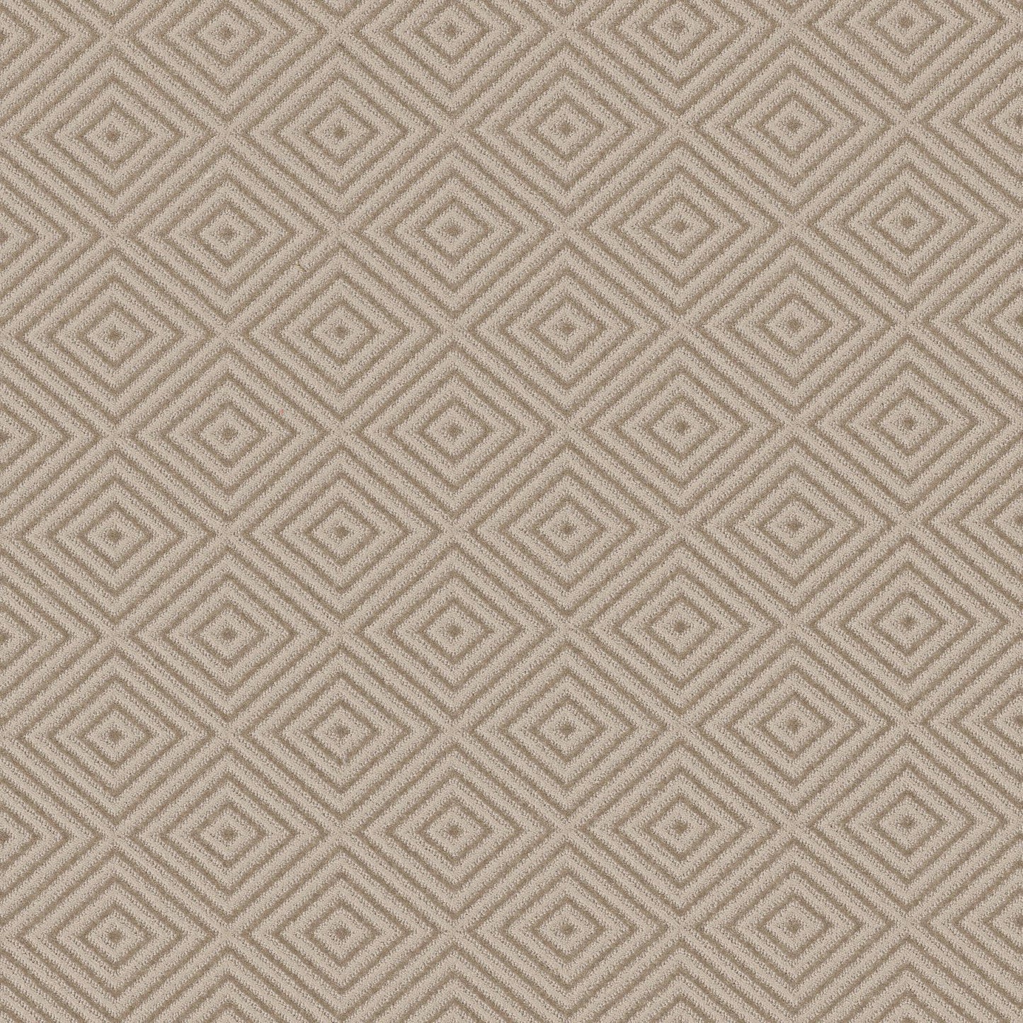 BERBER NYLON LOOP