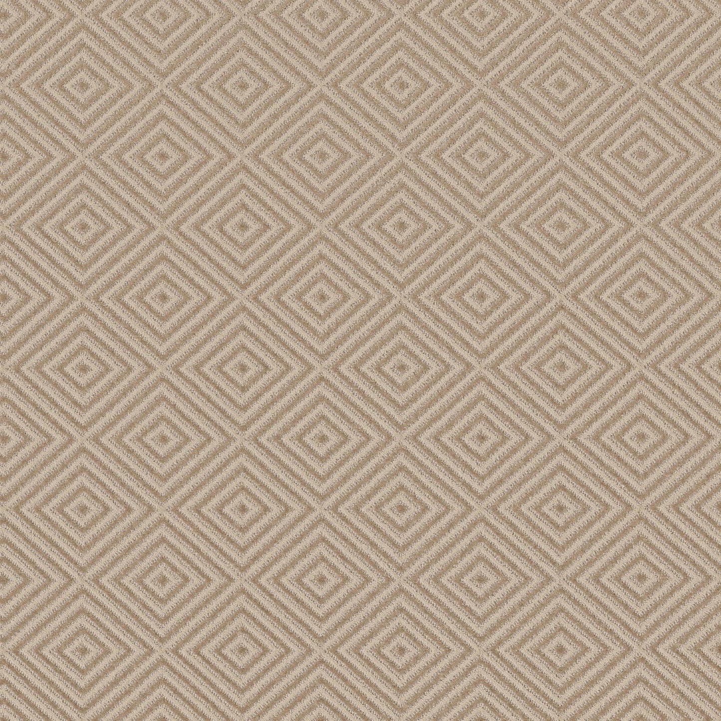 BERBER NYLON LOOP
