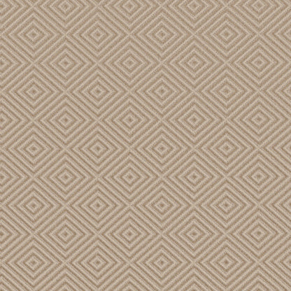 BERBER NYLON LOOP