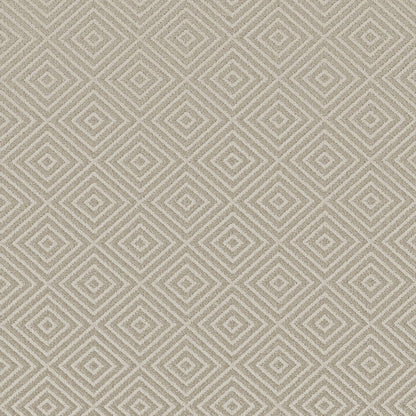 BERBER NYLON LOOP