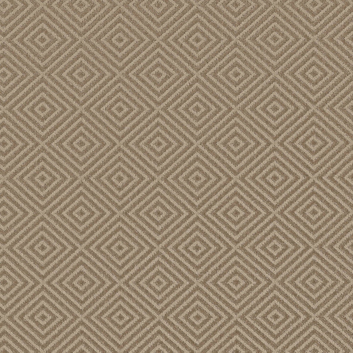BERBER NYLON LOOP