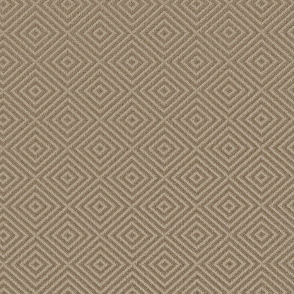 BERBER NYLON LOOP