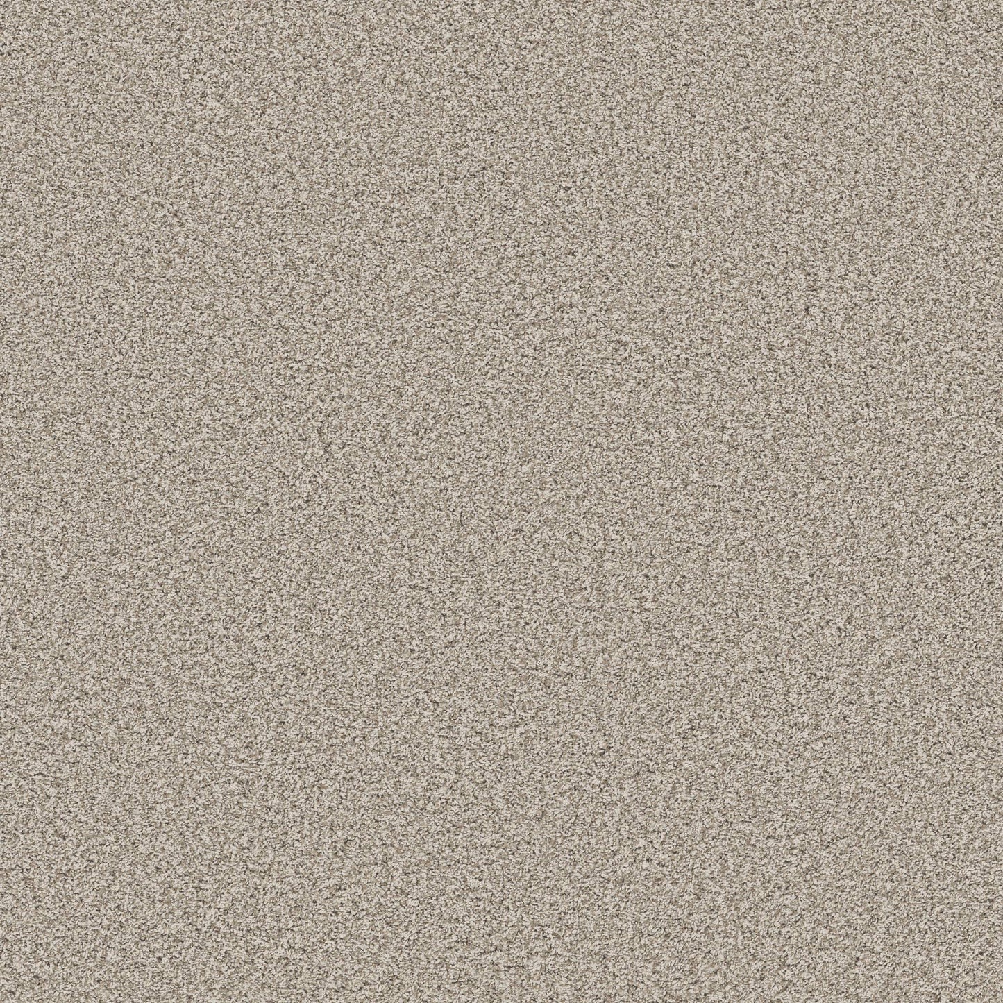 TEXTURE BCF