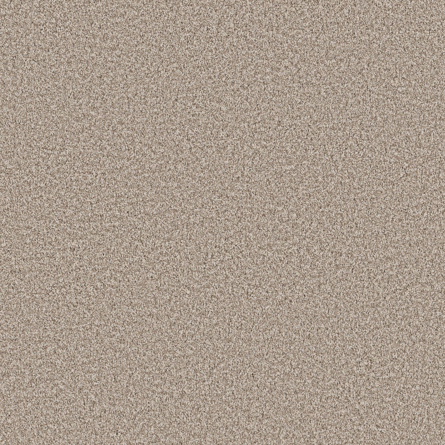 TEXTURE BCF
