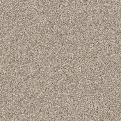 TEXTURE BCF
