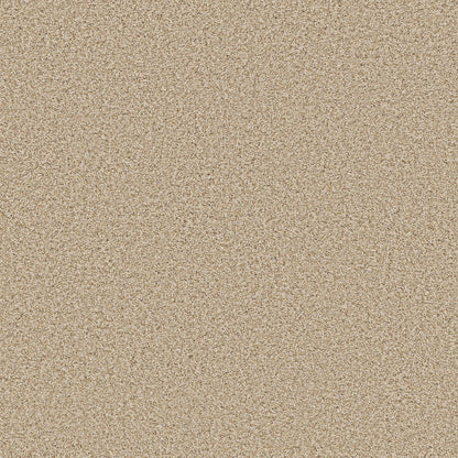 TEXTURE BCF