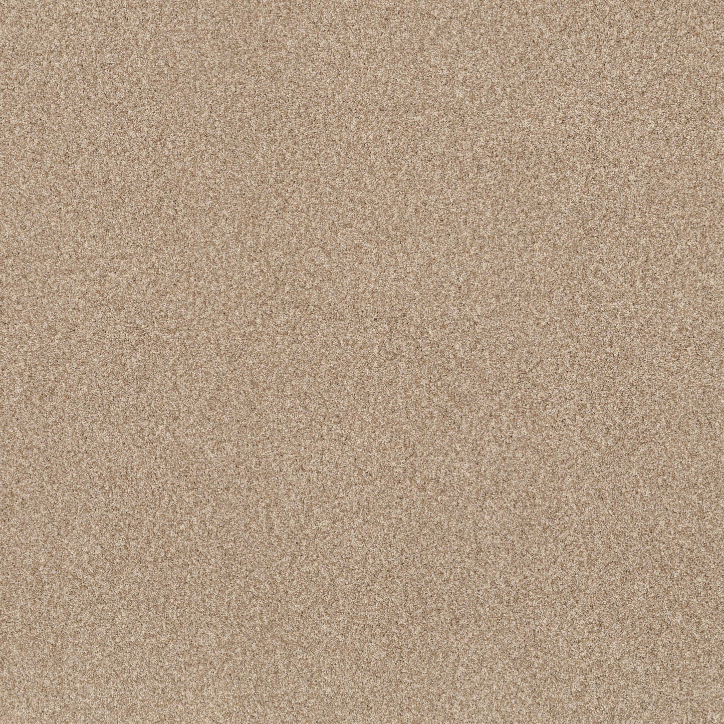 TEXTURE BCF