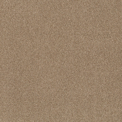 TEXTURE BCF