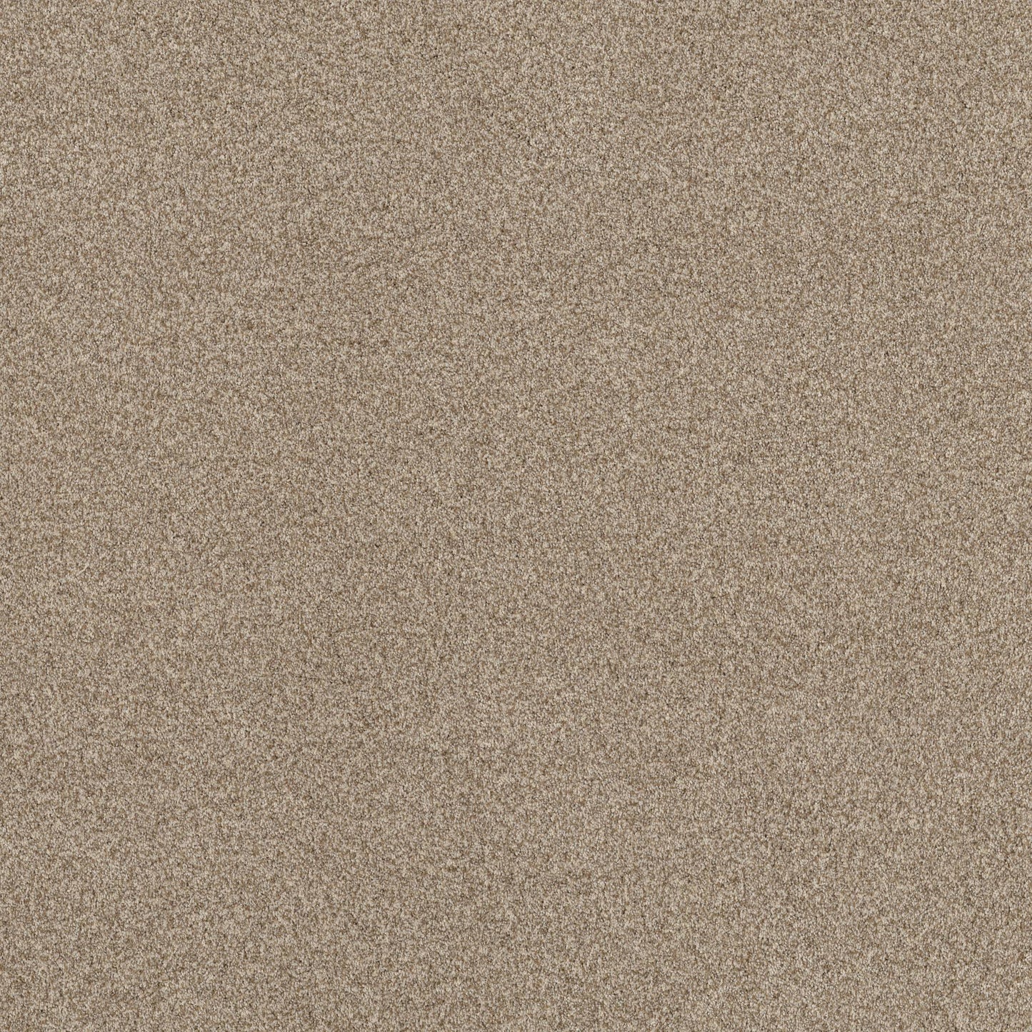 TEXTURE BCF