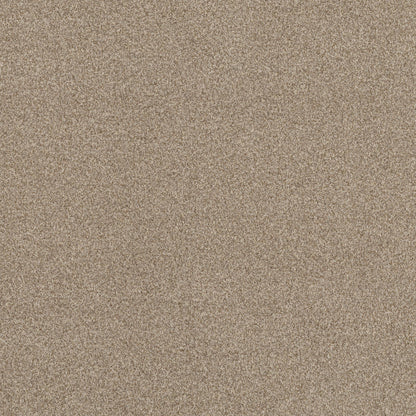 TEXTURE BCF