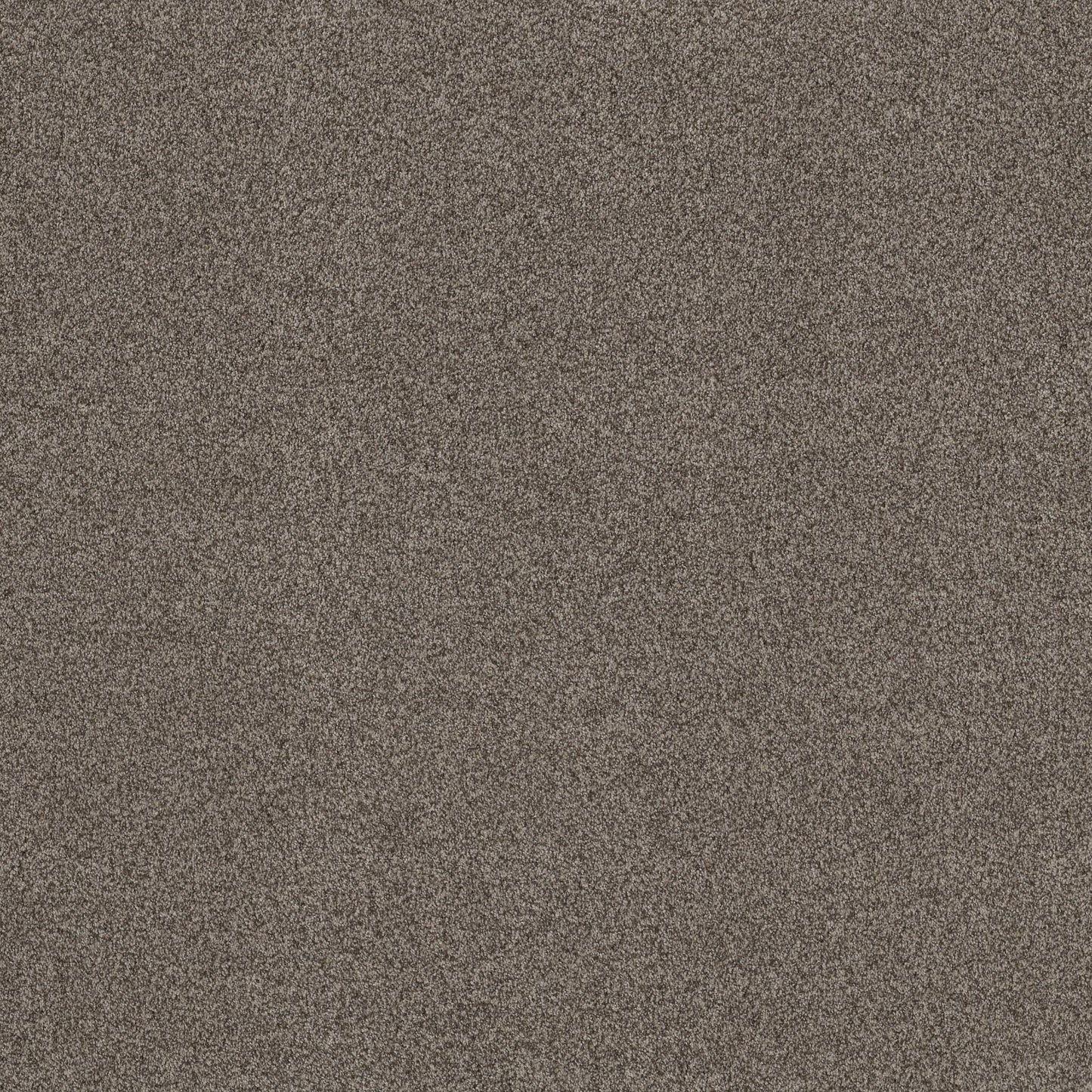 TEXTURE BCF