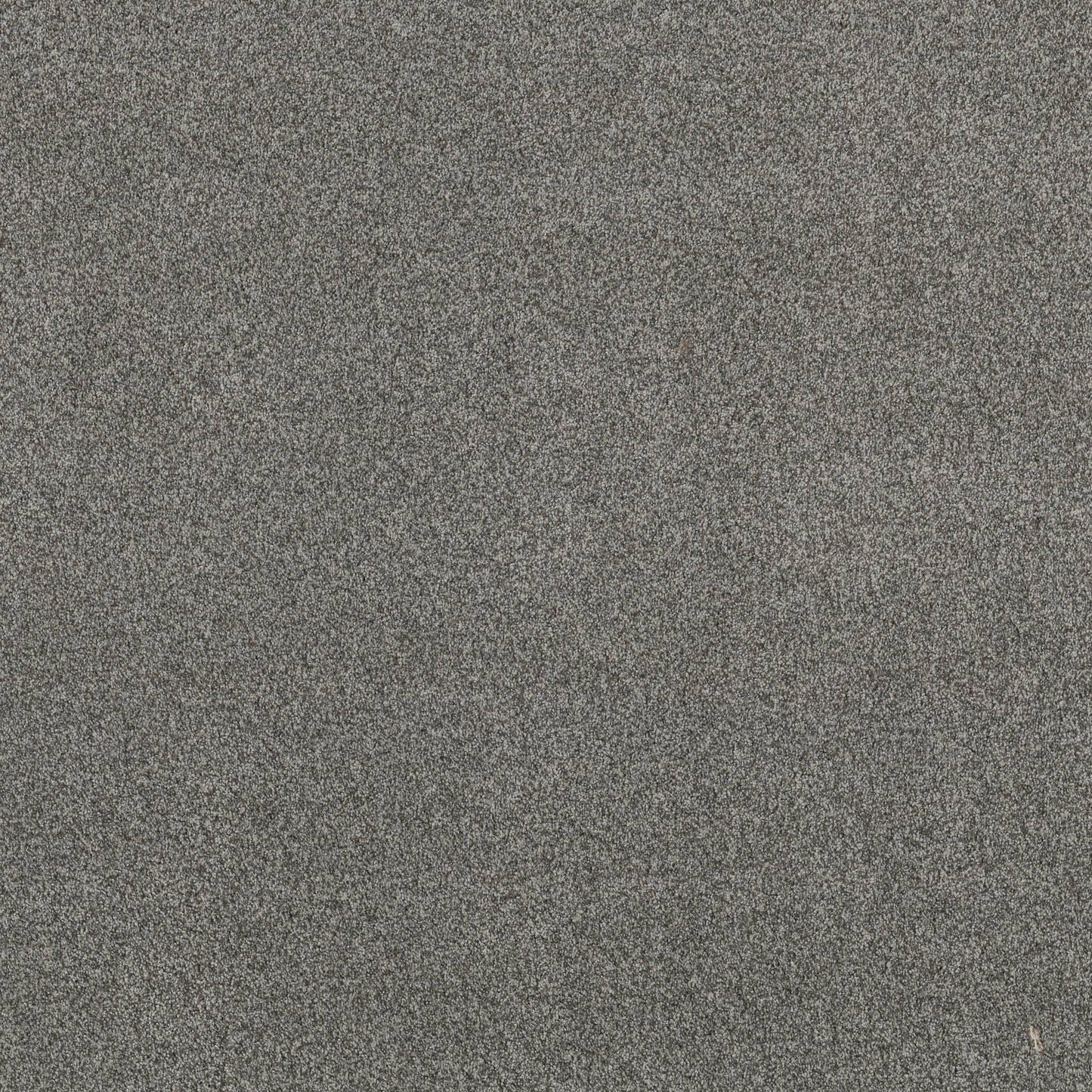 TEXTURE BCF