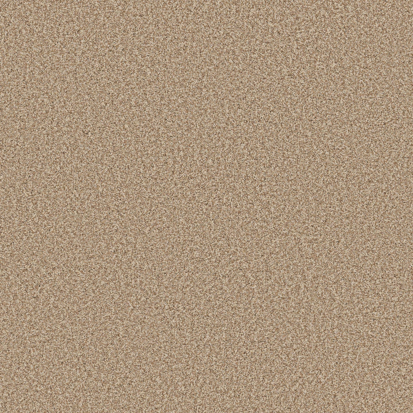 TEXTURE BCF