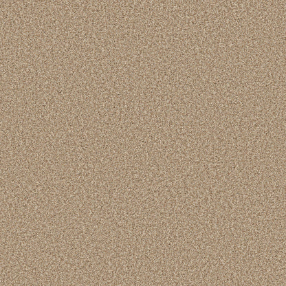 TEXTURE BCF