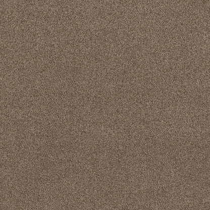 TEXTURE BCF