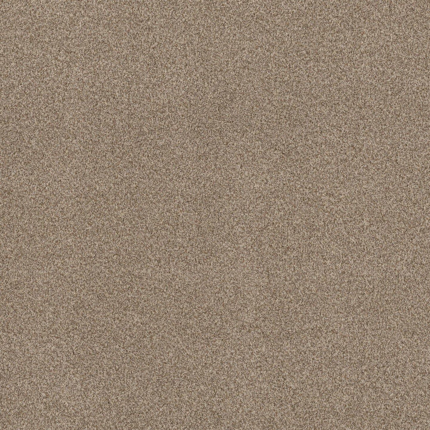 TEXTURE BCF