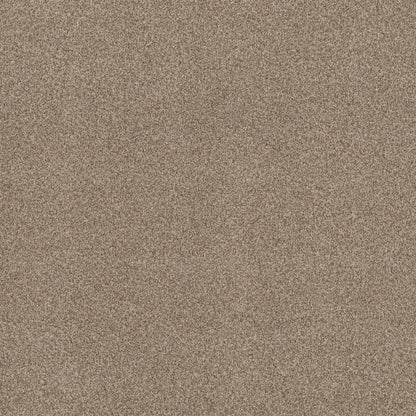 TEXTURE BCF