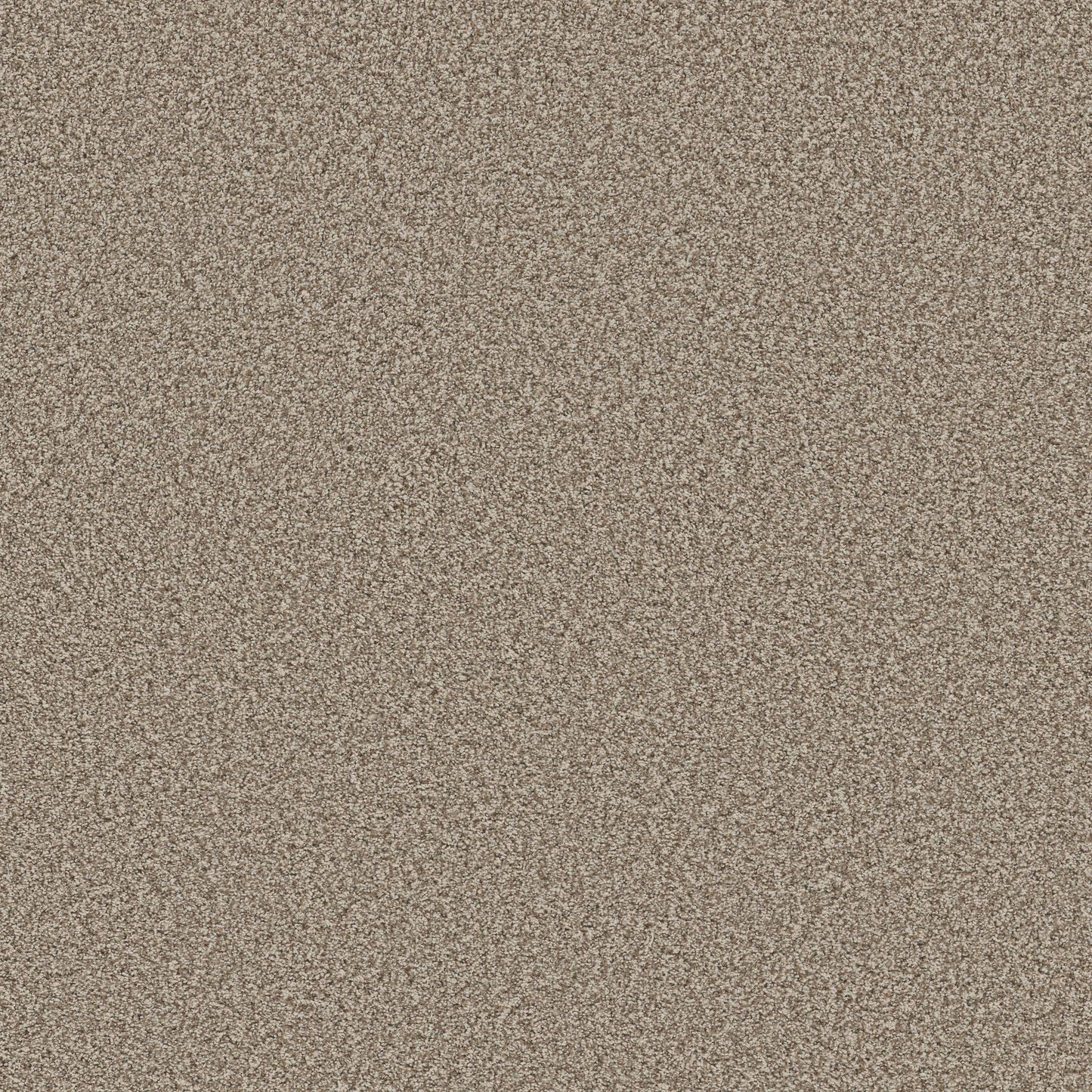 TEXTURE BCF