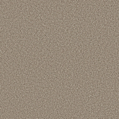 TEXTURE BCF