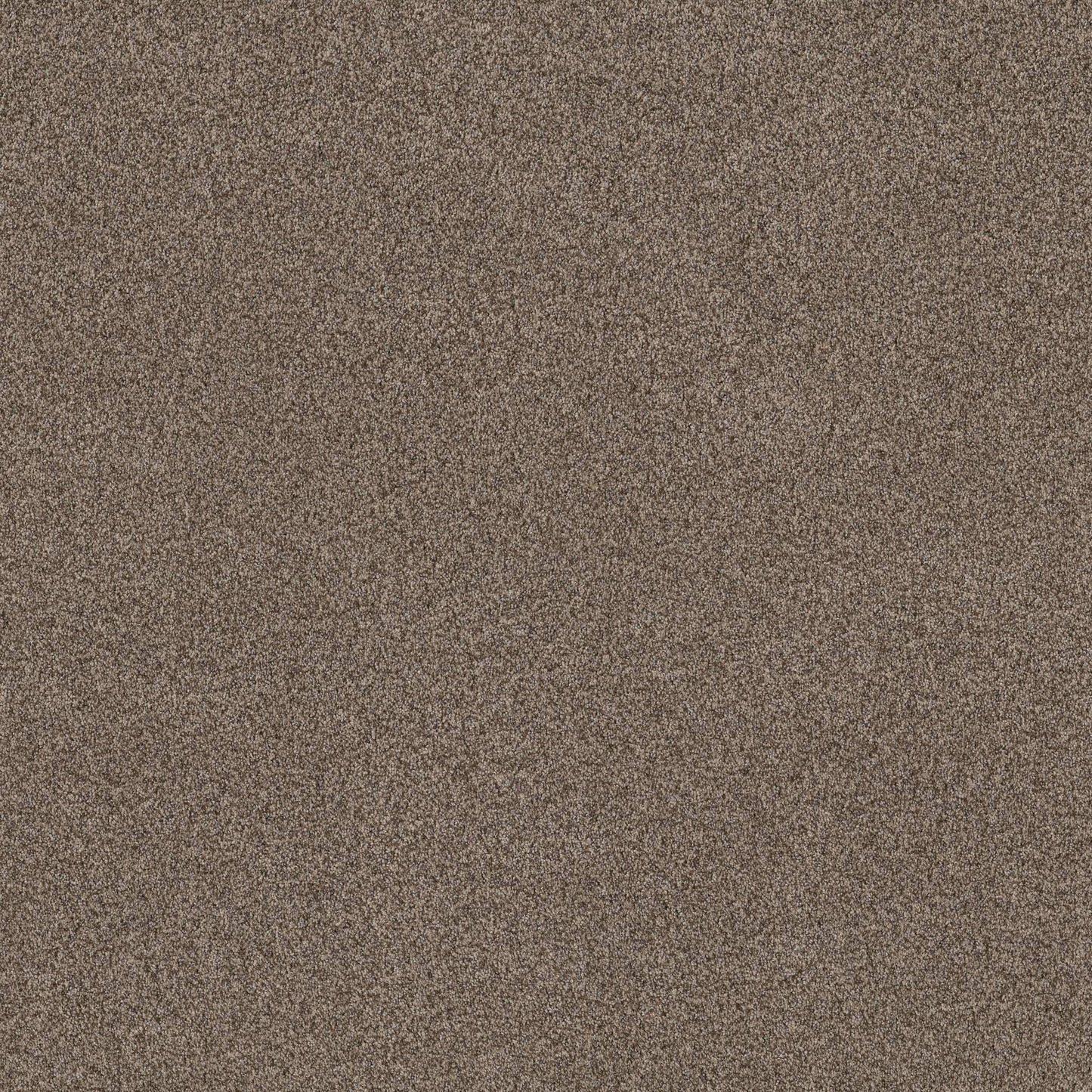 TEXTURE BCF